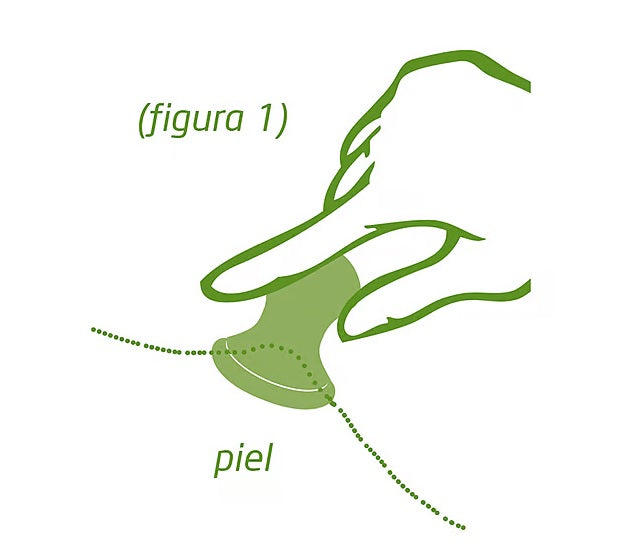 Pack Aceite Anticelulítico de Abedul Weleda