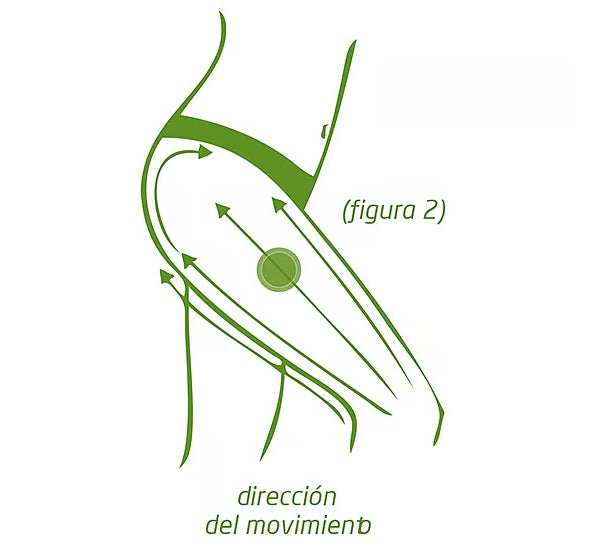 Pack Aceite Anticelulítico de Abedul Weleda