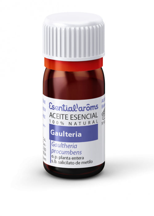 Aceite Esencial Gaulteria (Wintergreen) Esential Aroms