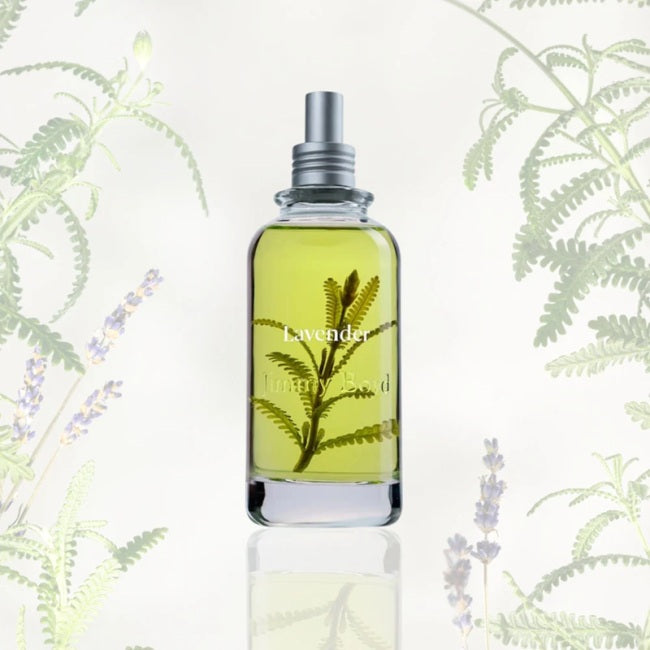 Colonia Intensa Lavender Jimmy Boyd
