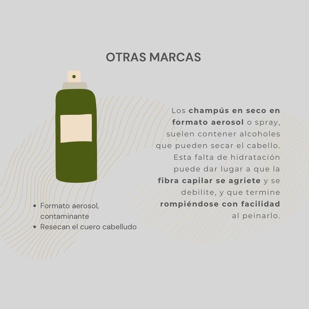 Champú en Seco Sin Aclarado The Organic Republic