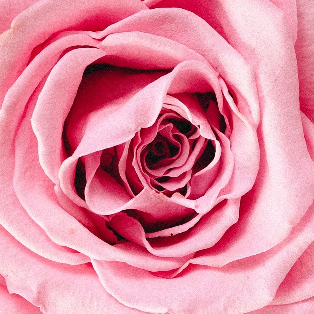 Máscara Pestañas Postizas Sante