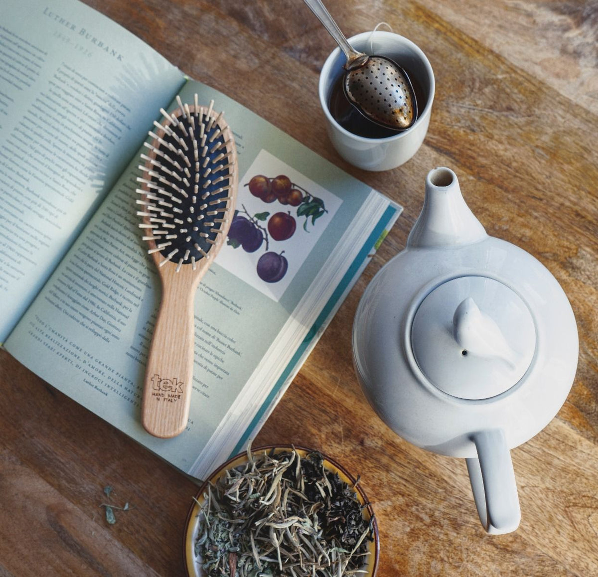 Cepillo Grande Ovalado Tek