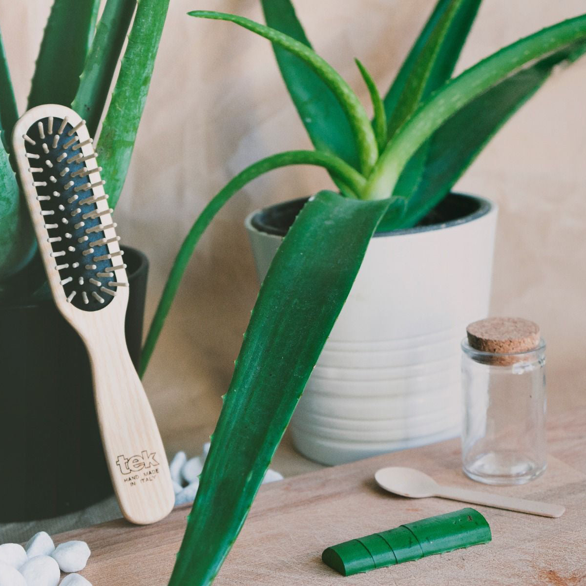 Cepillo Rectangular Tek