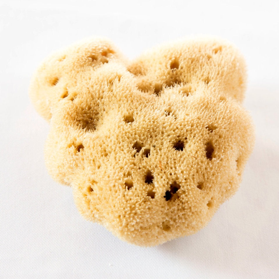 Esponja Baño Infantil Silk Natural - Esponjas Marinas