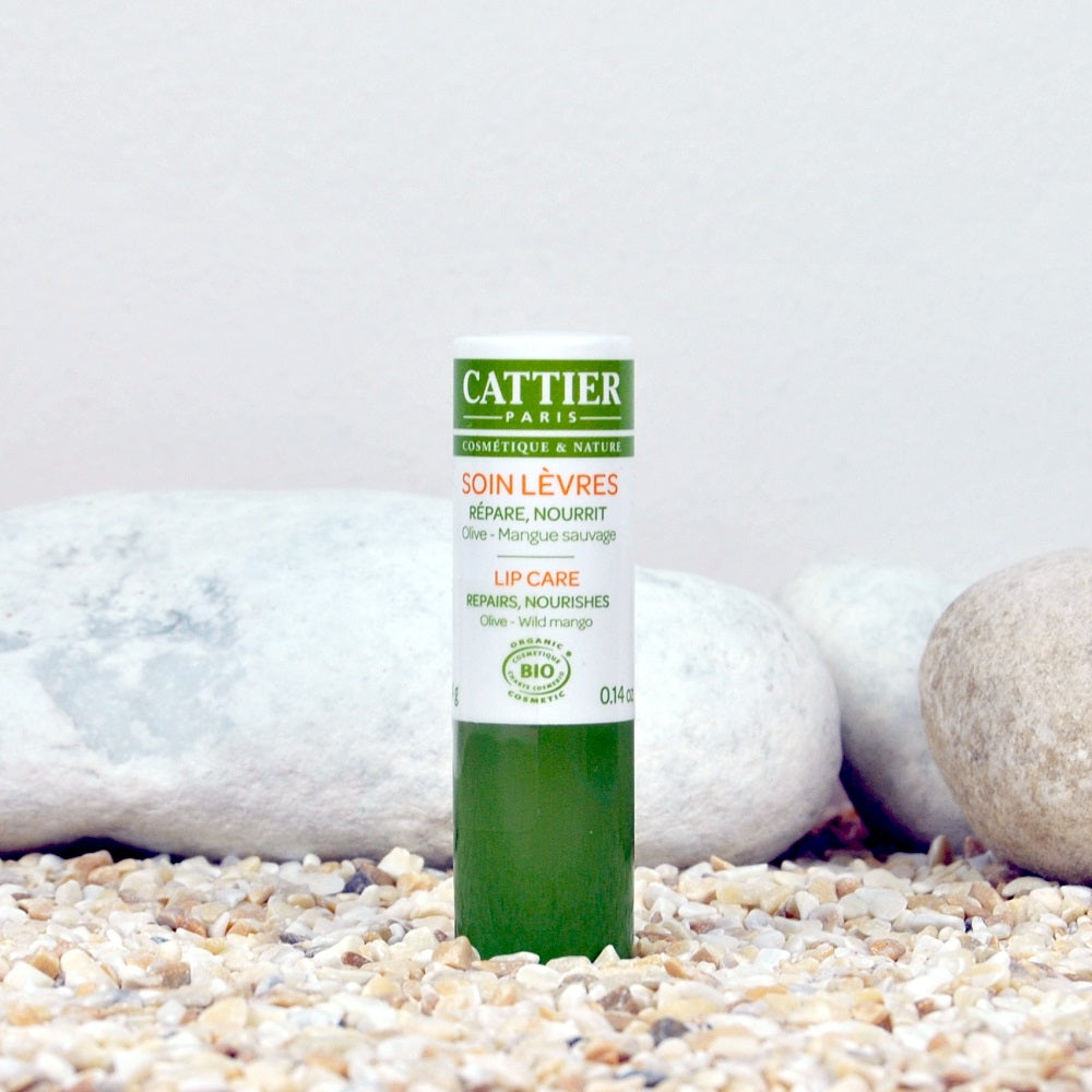 Bálsamo Protector Labial Biológico Oliva y Mango Salvaje Cattier