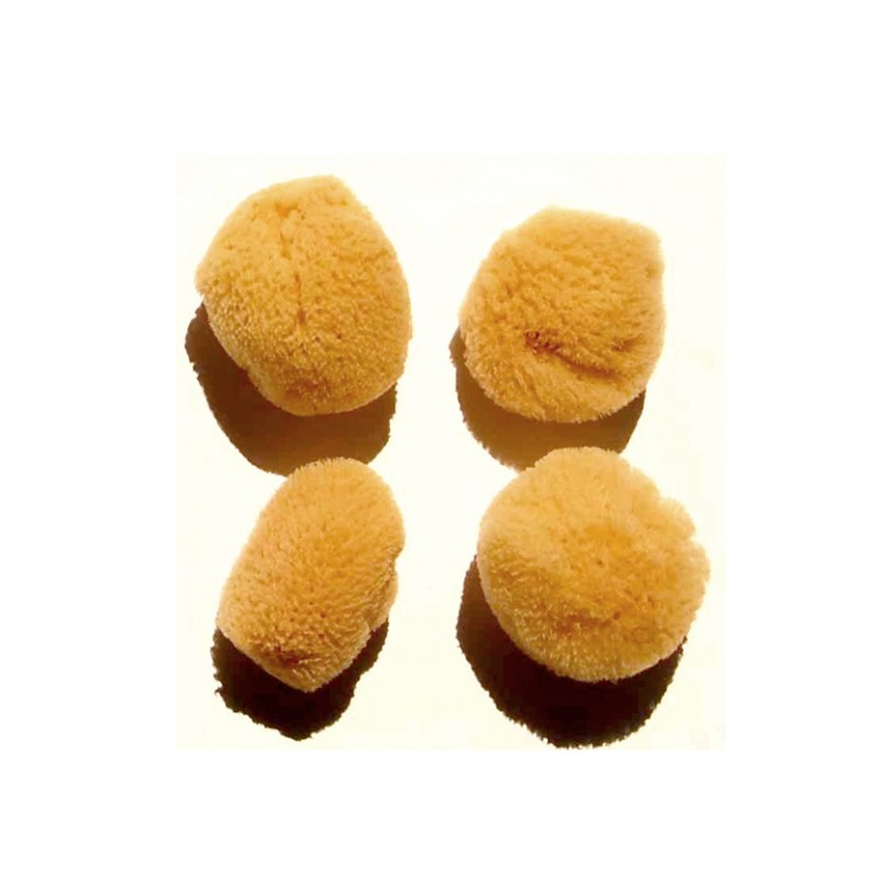 Esponja Facial Naturcosmetika