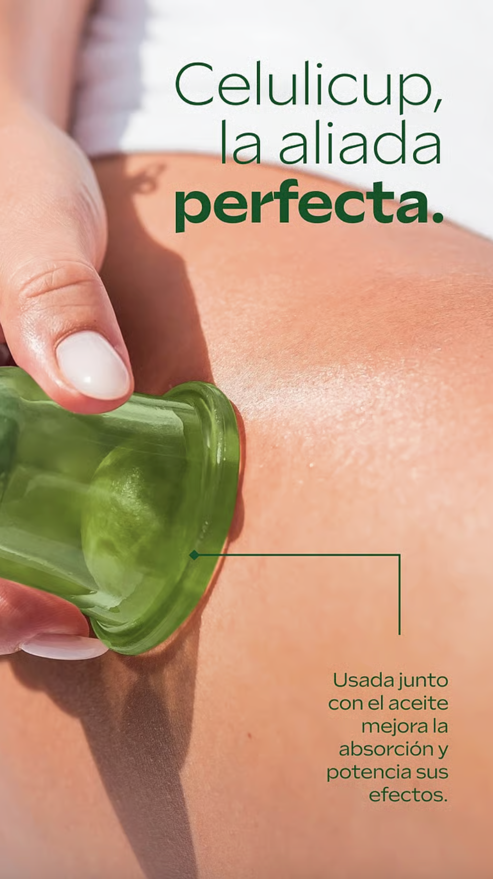 Pack Aceite Anticelulítico de Abedul Weleda