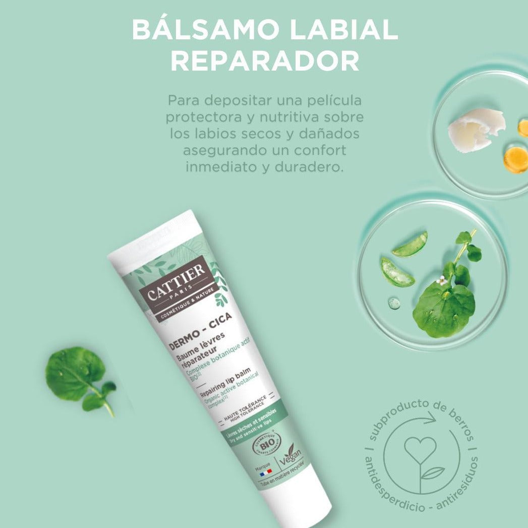 Bálsamo Labial Reparador Alga Cicosa | NaturaBIO Cosmetics