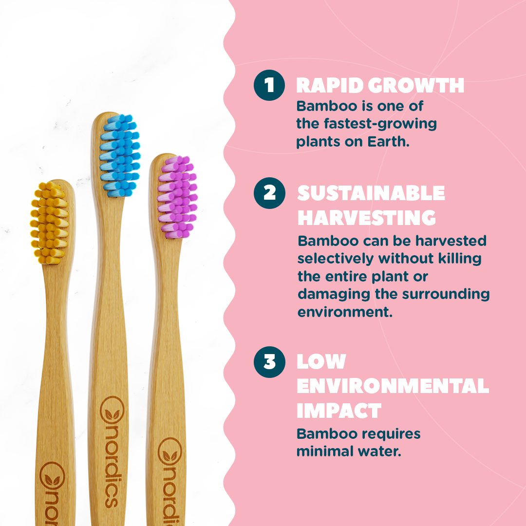 Cepillo de Dientes Infantil Nordics