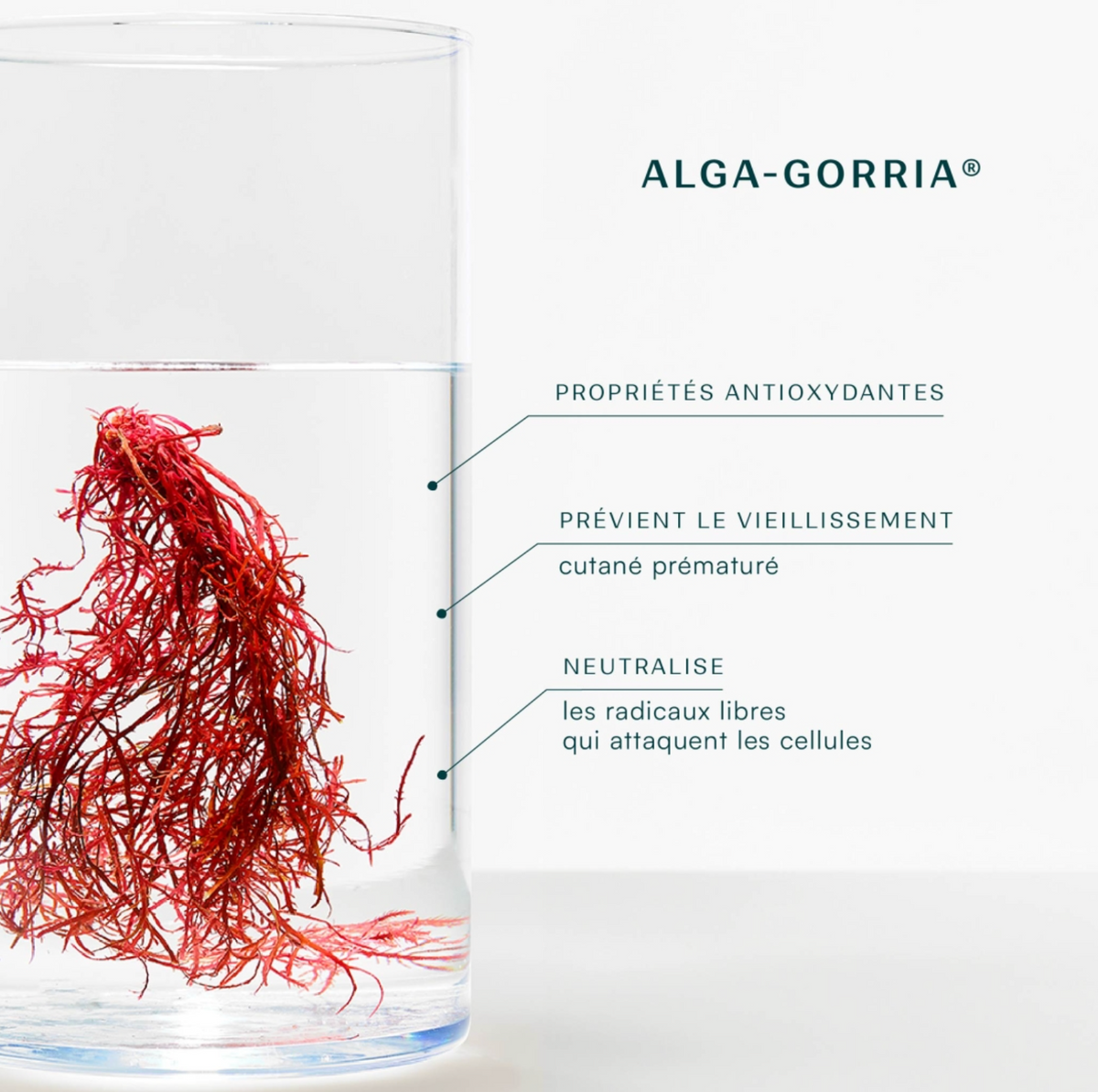 Crema Solar Facial SPF 50 Color Marfil Laboratoires Biarritz