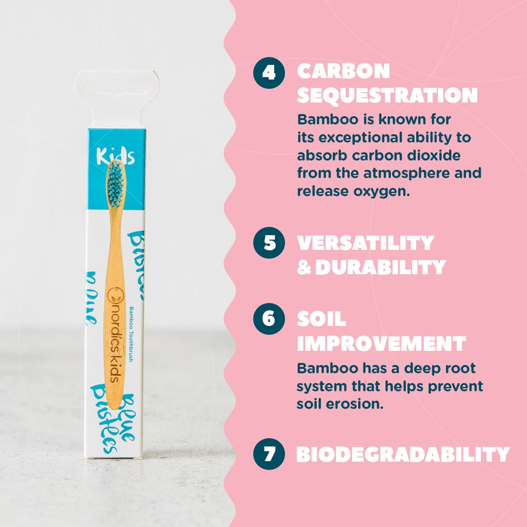 Cepillo de Dientes Infantil Nordics