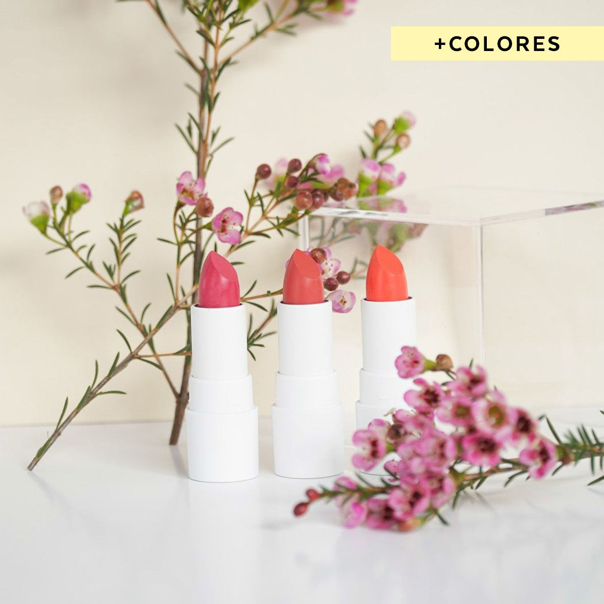Pintalabios Natural y Bio Love Pastel Couleur Caramel