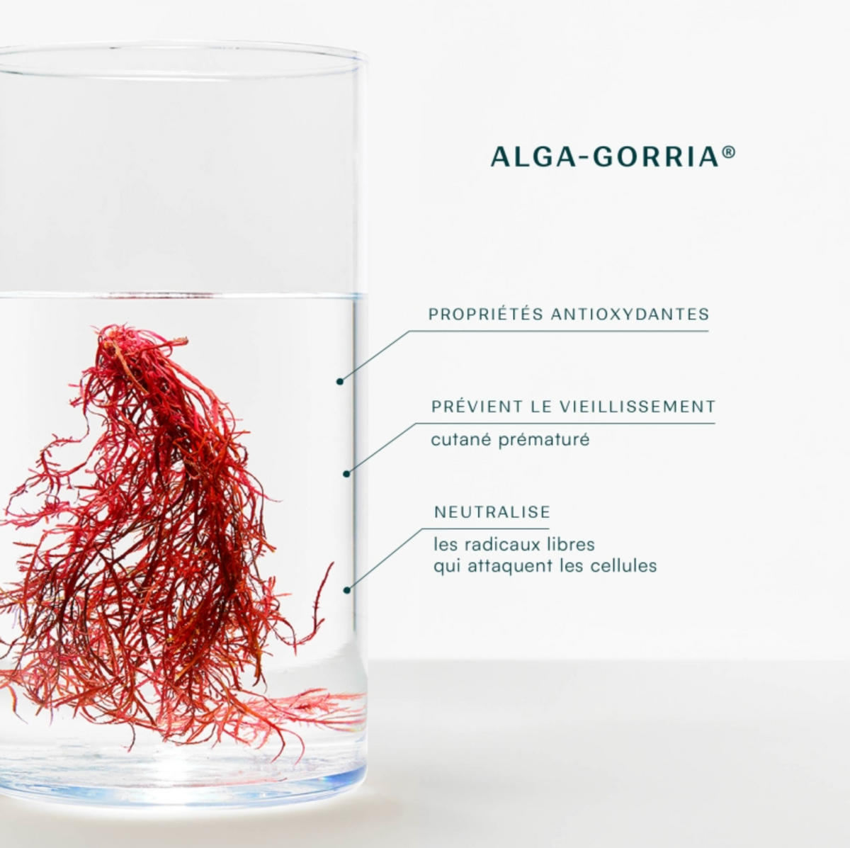 Stick Solar FPS 50+ con Color Laboratoires Biarritz