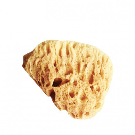 Esponja Honey Comb Extra Suave Naturcosmetika