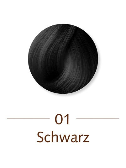 Tinte Vegetal 01 Negro Classic Sanotint